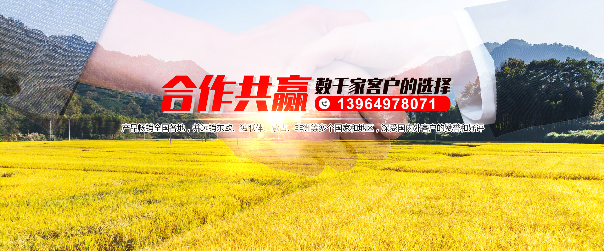 幻燈片標(biāo)題2